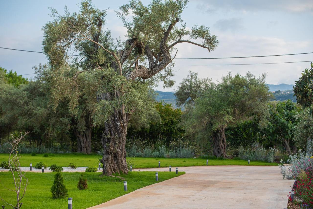 Aerinos private villa Lefkáda Esterno foto